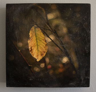 Encaustic Photography