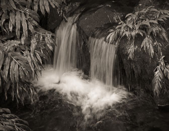 Hilo